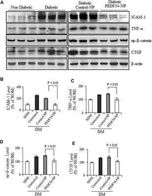 Sustained therapeutic effect of an anti-inflammatory peptide encapsulated in nanoparticles on ocular vascular leakage in diabetic retinopathy